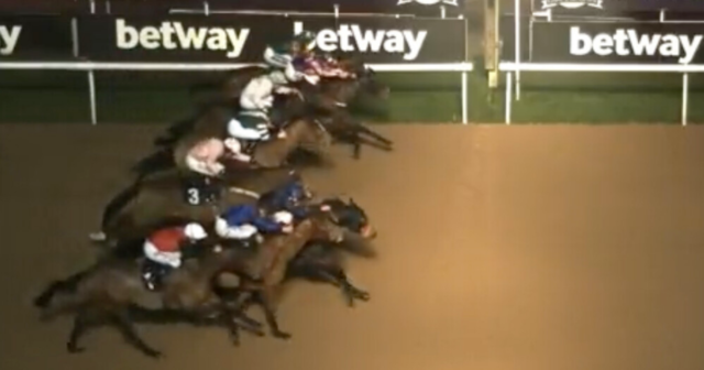 , Watch incredible moment EIGHT horses cross finish line at nearly same time leaving punters stumped on who has won