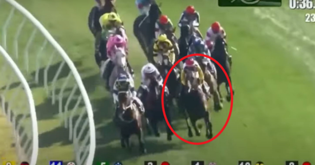 , Two jockeys in intensive care after horrifying mass fall labelled ‘one of the worst in history’ at Sha Tin