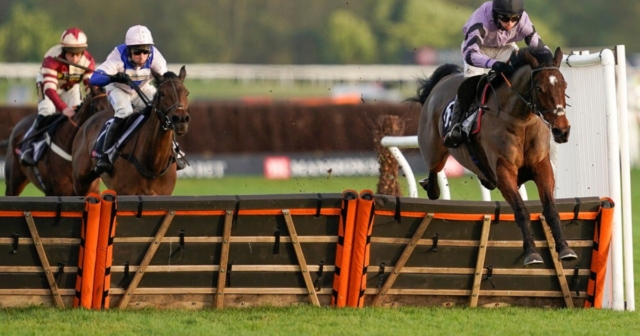 , Paul Nicholls takes Challow Hurdle again as Stage Star shines brightest in Newbury Grade 1