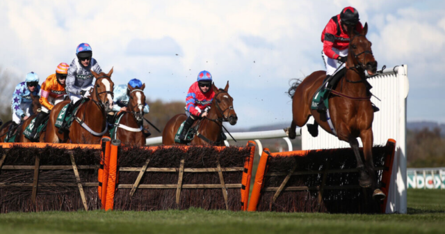 , Cheltenham Festival ante post tip: Templegate says 14-1 for exciting chaser is great value