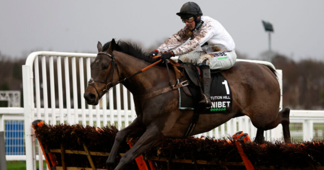 , Cheltenham Festival: Constitution Hill MUST be entered for the Champion Hurdle, the race could be up for grabs