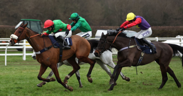 , Two For Gold bags huge pot of gold at Lingfield for Kim Bailey in Winter Million feature