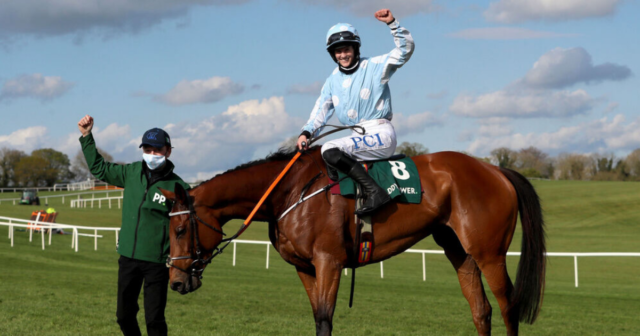 , Cheltenham Festival: Which huge favourite will sting punters by flopping on the day?