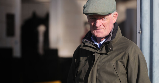 , Cheltenham Festival ante post tip: Willie Mullins runner should be snapped up now at 7-1 after impressive win