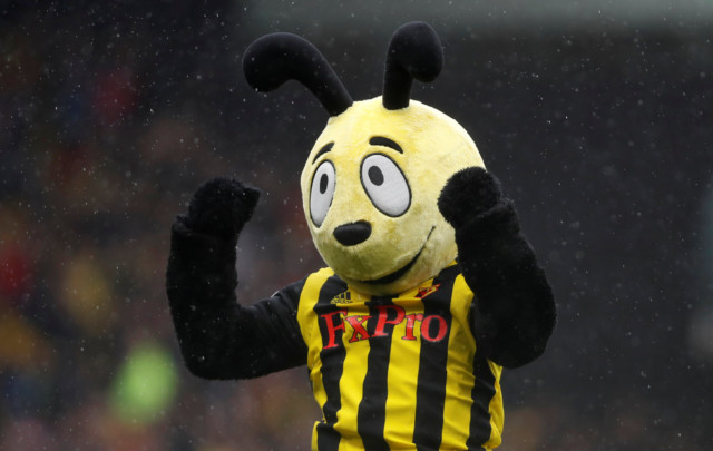 , Roy Hodgson set for awkward reunion with ‘disgraceful’ Harry the Hornet at Watford – but it’s new person in suit