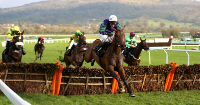 , Cheltenham Festival ante post: Back Templegate’s BOOSTED Gold Cup and Stayers’ Hurdle double at 40-1 with Paddy Power