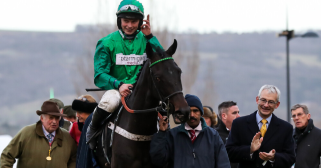 , Cheltenham Festival ante post tip: 25-1 Nicky Henderson hurdler is amazing value for Coral Cup