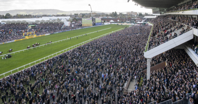 , Cheltenham Festival: Record ticket sales see fastest EVER sell out for Gold Cup day… which is still six weeks away