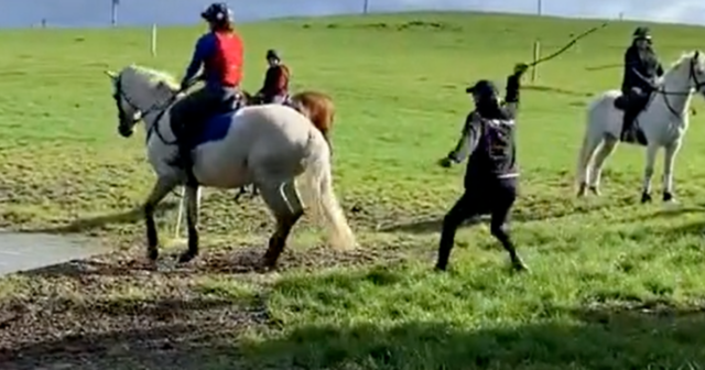 , Mark Todd steps down as patron of horse charity and BHA opens probe after video of him whipping horse with branch
