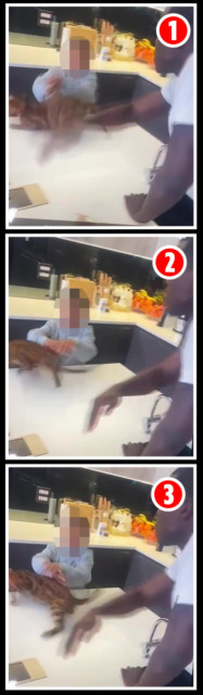Forceful swipe . . . the French international lashes out as child clutches cat on table — slapping pet around the face & out of the youngster’s arms — in disturbing final clip