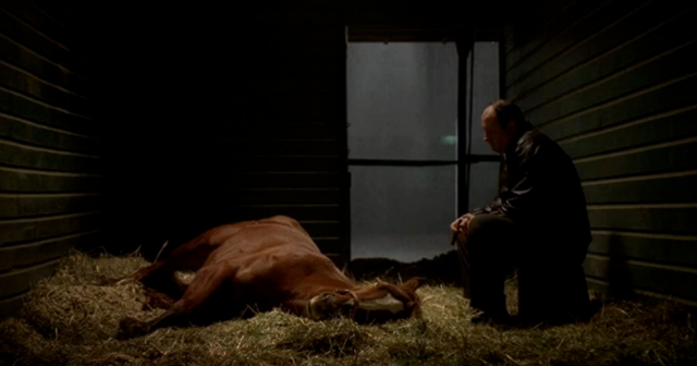 , The Sopranos star dies aged 23: Tony’s beloved racehorse Pie-O-My loses long battle with illness