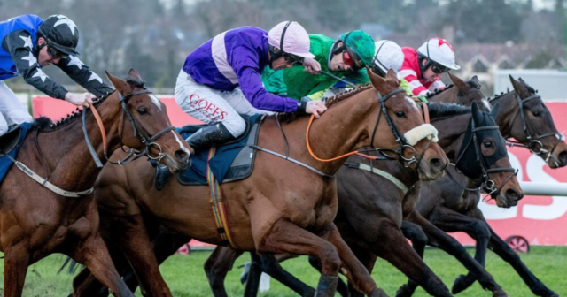 , Punters’ bets destroyed by 40-1 shot who saves bookies millions in photo thriller