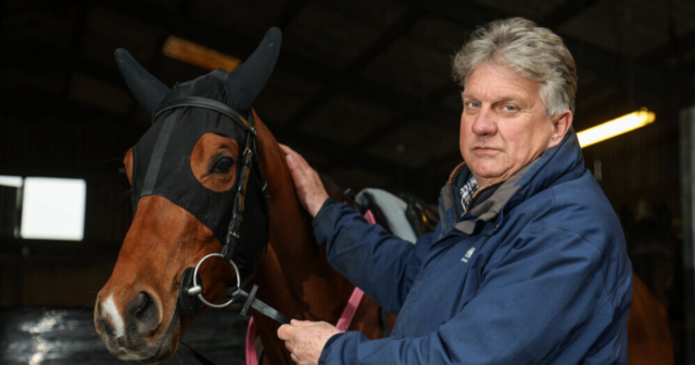 , ‘I’ve lived a life’ – Meet the trainer who dated a popstar and partied with Hollywood royalty ready for Cheltenham