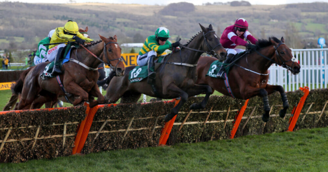, Cheltenham – Gold Cup odds special: 80/1 for Minella Indo or Galvin to win on Friday