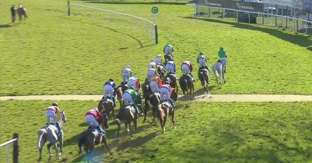, Bizarre moment jockey Hugh Nugent gets thrown off horse Achille in Midlands Grand National in rare accident