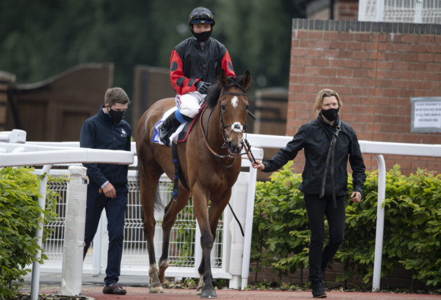 , Aguerooo, Zlatan, Switcharooney and more race horses who share names with famous footballers