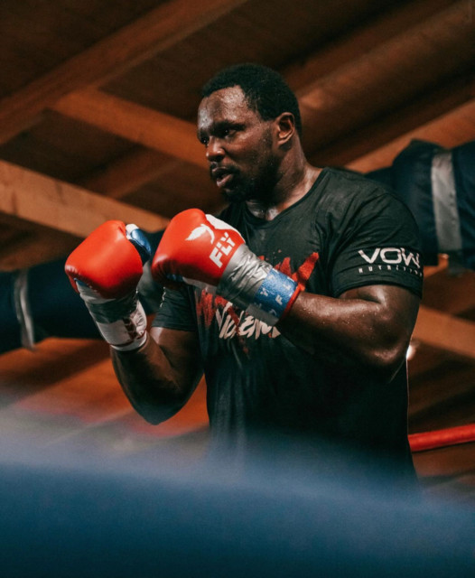 , ‘Coming with style’ – Fans love Dillian Whyte’s gloves for Tyson Fury fight as blue, red and white design is revealed