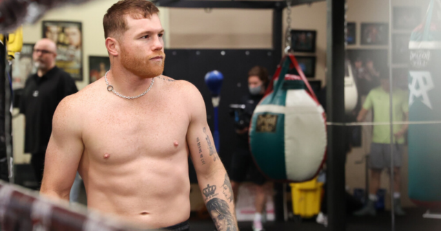 , Canelo Alvarez shows off insane body transformation as he piles on muscle for light-heavyweight fight against Bivol