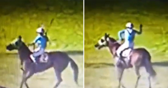 , ‘Ban him for life!’ – Fury as jockey is filmed hitting horse in the face twice after losing race
