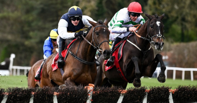 , Punchestown Festival 2022 LIVE RESULTS – All the action from every race from Day Two on Wednesday April 27th