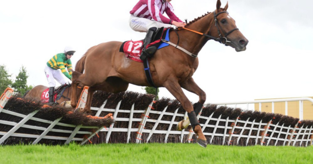 , Shock 300-1 outsider Sawbuck makes history as biggest winner EVER over jumps with easy victory at Punchestown