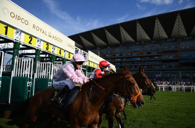 , Royal Ascot: Templegate’s complete bluffers’ guide to the biggest and best Flat racing festival in the world