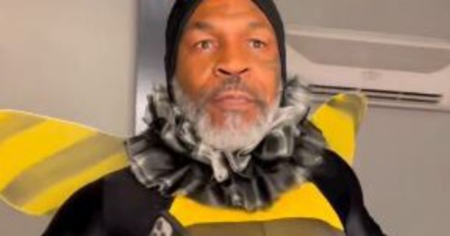 , ‘I’m feeling beautiful’ – Fearsome Mike Tyson bizarrely dresses up like BUMBLEBEE and dances around on Jimmy Kimmel show