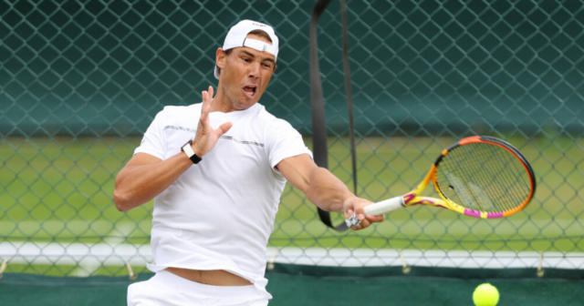 , When could Novak Djokovic play Rafael Nadal at Wimbledon 2022? Full draw details