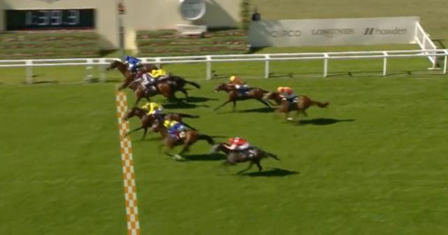 , ‘What a race!’ – Royal Ascot viewers stunned as FIVE horses cross line at nearly same time in stunning finish