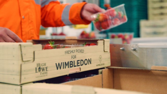 , Wimbledon strawberries tracked by high-tech sensors from soil to punnet to ensure they’re served up in perfect condition