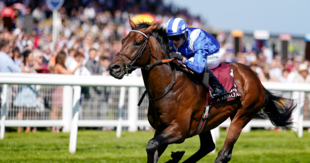 , Royal Ascot 2022 – odds boost: Get Alfred Munnings at 30/1 to win the Chesham Stakes on Saturday with William Hill