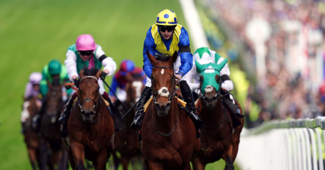 , Epsom Derby hero Desert Crown OUT of King George at Ascot with injury