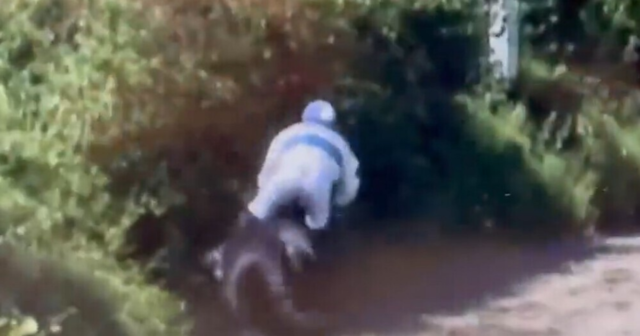 , Watch horse run and jump full speed into bush as jockey gets dumped on his bum in pre-race disaster