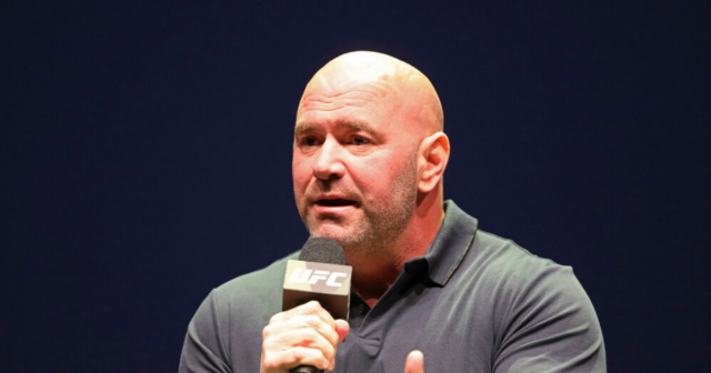 , ‘He just got knocked out’ – UFC boss Dana White slams Jake Paul’s next fight and names who YouTuber should have picked