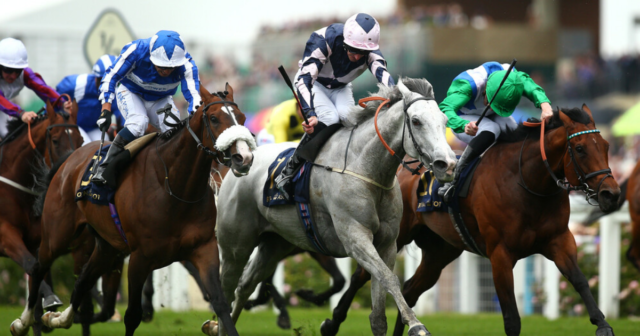 , Millionaire racehorse and everyone’s favourite grey Lord Glitters retires aged nine as ‘wear and tear takes its toll’