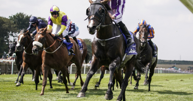, July Cup CONFIRMED runners and riders guide plus Templegate tip for blockbuster Newmarket race