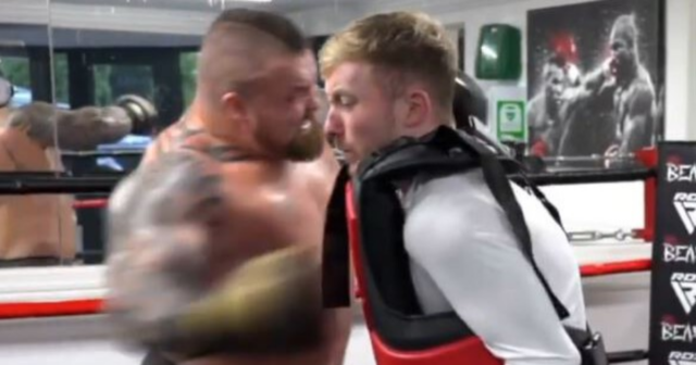 , Eddie Hall floors YouTube star Nile Wilson after he volunteers to take punch from the former World’s Strongest Man