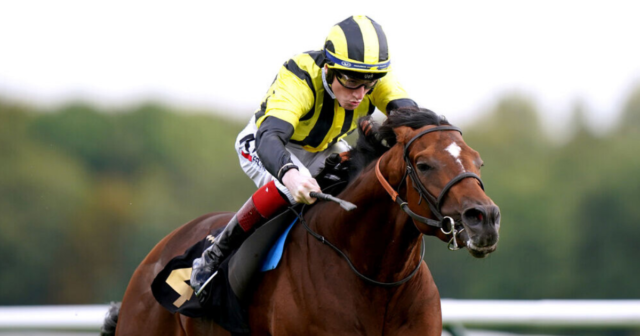 , Royal Ascot winner named after MMA brute can land this midweek Group 1 at Longchamp