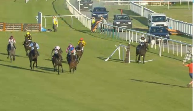 , Dramatic moment leading horse ‘blinded by the sun’ causes chaos and sends rival crashing through rail