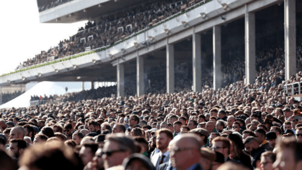 , Cheltenham Festival to slash crowd numbers for 2023 but punters doubt it will make any difference