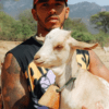 , Fans all saying the same thing as F1 legend Lewis Hamilton shares picture with a goat, calling it his ‘new best friend’