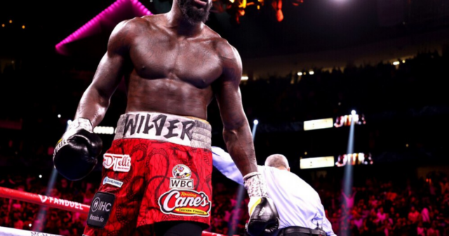 , Deontay Wilder has been ‘missed’ in heavyweight division as ex-champion David Haye hails American’s boxing return