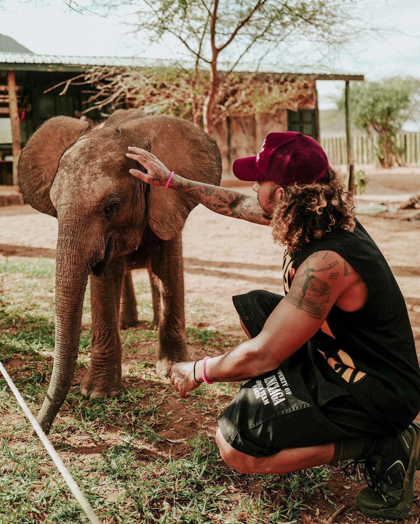 , Fans all say the same thing as Lewis Hamilton reveals dramatic new hairdo as he pets baby giraffe and elephant in Kenya