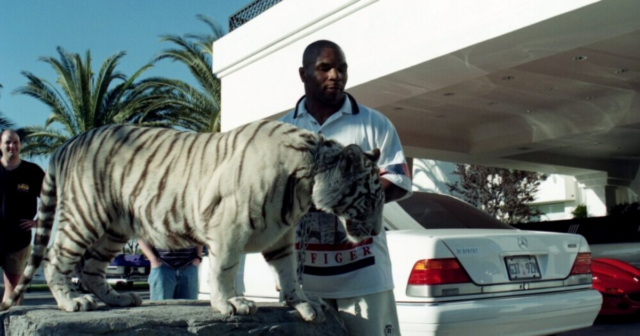 , Mike Tyson’s pet tiger tried to eat his neighbours’ DOG which caused boxing legend to lose his famous white bengal