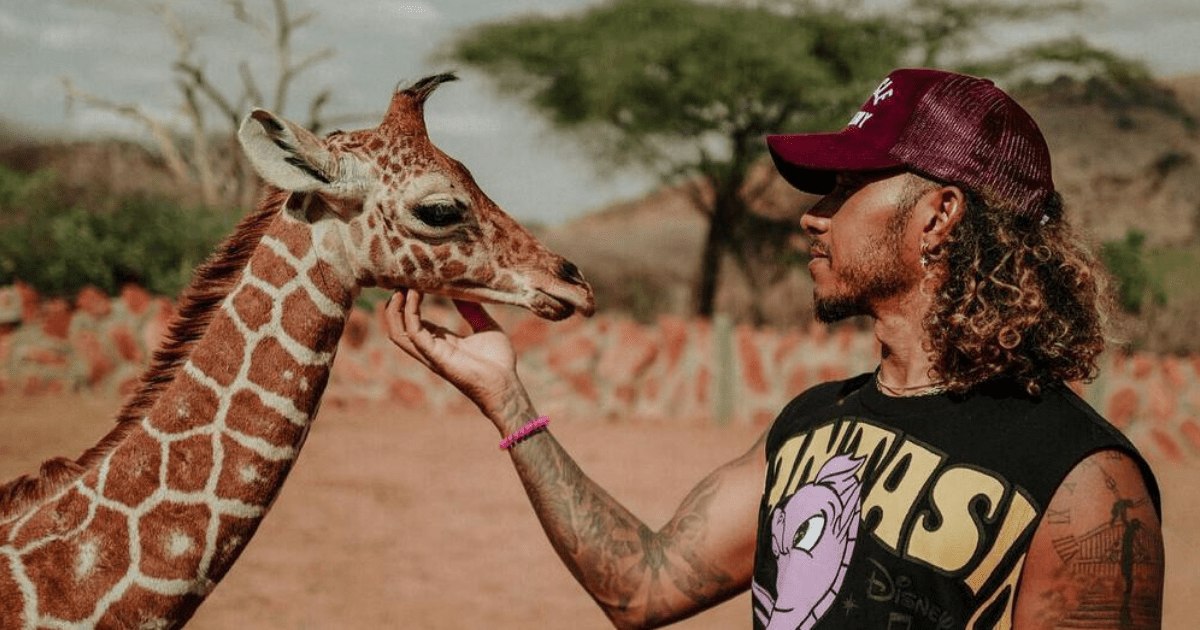 , Fans all say the same thing as Lewis Hamilton reveals dramatic new hairdo as he pets baby giraffe and elephant in Kenya