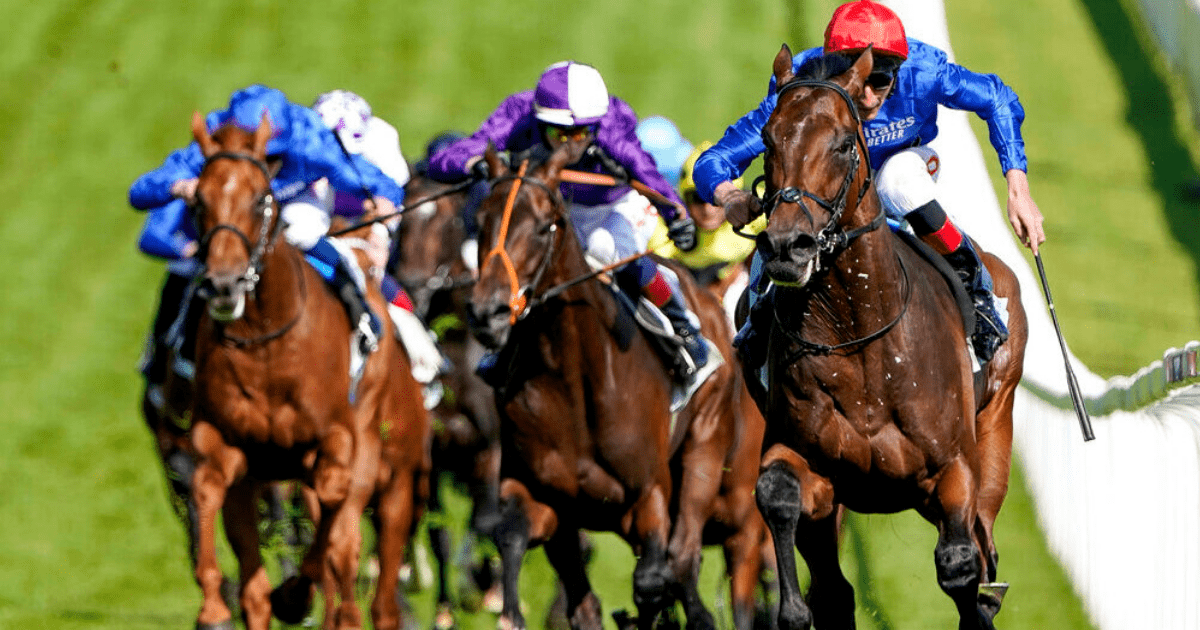, Adayar OUT of the Arc de Triomphe as Godolphin plot blockbuster showdown against Baaeed on Ascot Champions Day