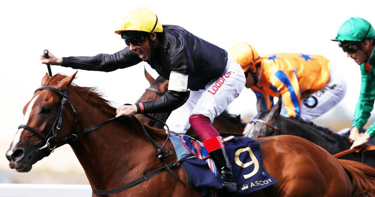, Stradivarius could have run his last race with superstar stayer OUT for rest of season and unlikely to train next year