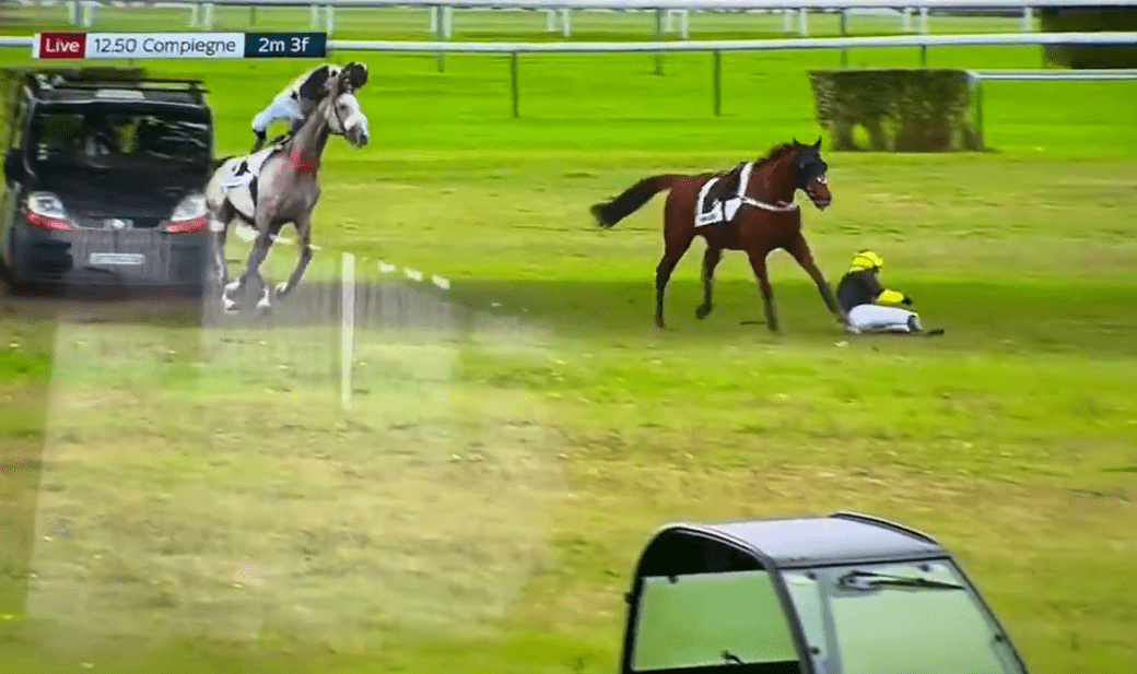 , Chaos as van ploughs into two horses and jockey somersaults to the ground in horrific scenes