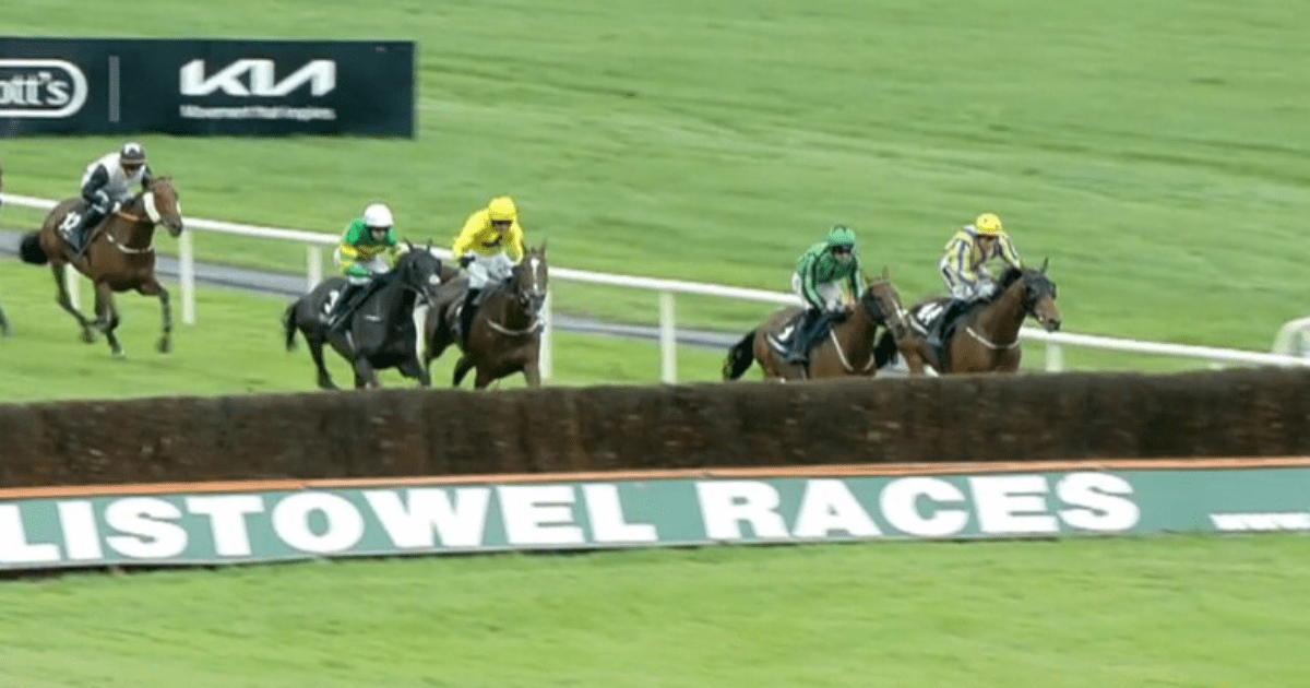 , Watch jockey’s bone-crunching head-first fall as final fence disaster sees him miss out on £100,000