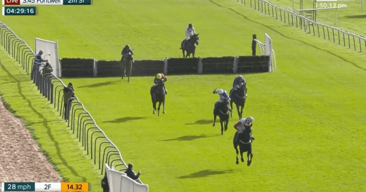 , Punters lose more than £13,000 after horse ‘throws away’ victory in shock finish which saw winning jockey banned
